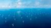 CIP Secures 1 GW Across Two Projects in South Korea’s Offshore Wind Auction