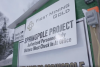 'Monumental day' for First Mining Gold's mine project after 8-year federal review