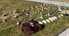 Oregon Hands ‘Serial Poacher’ Lifetime Hunting Ban, $114K in Fines
