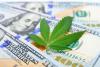Springfield considers cannabis tax revenue for small business grants