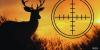 Texas Parks and Wildlife accepting drawn hunt permit applications for 2026-27 season