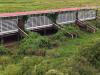 Guyana Livestock Development Authority CEO defends Black Belly Sheep project after Opposition Leader highlights facility problems