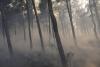 Bulgarian Firefighters Deployed to Spain to Help Tackle Wildfires