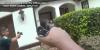 Sheriff releases body camera video of deputy-involved shooting in Orlando