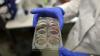 U of M researchers create world's first synthetic cell