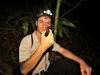 Costa Rica Study Suggests Earth Has Far More Insect Species Than Scientists Thought