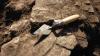 Costa Rica Reviews PriceSmart Site After Archaeological Material Found