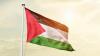 Palestine Rejects Efforts to Undermine UNRWA's Mandate