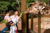 Report: San Antonio Zoo had $283 million economic impact last year