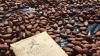 Fiji Cocoa industry reaches new export milestone