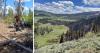 AROUND WYOMING: Human Remains, Black Bear and Kinky Creek Fire Update!