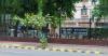 NITI Aayog suggests strategic roadmap to make Ayurveda global