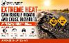 Illinois Drivers Warned of Road Buckling and Blowout Risks Amid Extreme Heat