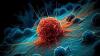 Tel Aviv University Researchers Identify Immune Process That May Fuel Cancer Growth