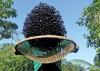 Brazil launches plan to promote ‘bioeconomy’