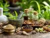 India plans to position Ayurveda as a pillar of global healthcare by 2...