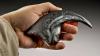 New raptor in Argentina had the same curved claw as China's velociraptors