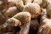 15,000 pounds of ginger procured to drive spice industry revival