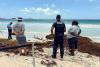Two dolphins found stranded on Orient Bay Beach, one deceased