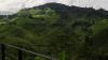 Cameron Highlands Travel Guide: Malaysia’s Cool Tea Country