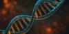Scientists build a more accurate Alzheimer’s risk score using global DNA data