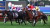 ‘We should have won’: Lee brothers eye Glorious second chance at Epsom