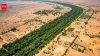After the Great Wall of China, Africa is building an 8,000-km 'Wall of Trees' to fight climate change, restore land and feed millions