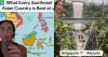 Singapore for airport, Malaysia for food: US traveller ranks Southeast Asian countries he visited