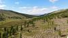 Mongolia intensifies its efforts to combat desertification, land degradation