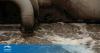 Jordan to launch wastewater treatment O&amp;M tenders by 2027