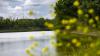 Minnesota Valley National Wildlife Refuge celebrates 50 years of conservation