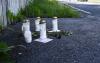 Taxi driver released after fatal Helsinki crash