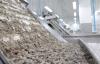 Ecuador’s shrimp exports hit all-time record in May