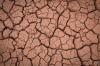 The effects of climate change on children in Dushanbe