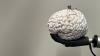 Restoring lost senses: one technology for both artificial vision and touch