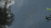 Kochi Corporation’s health standing committee to consider two proposals to use drones for mosquito control