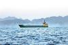 Conflict takes toll on labor market