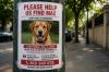 Spanish Police warn of cruel AI scam targeting owners of missing pets