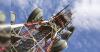 Angola's biggest telecoms operator Unitel to launch IPO roadshow next week