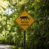 Cars Ignite Florida Panther Crisis: 11th Death of 2026 Sparks Urgent Toll Near New Housing Development