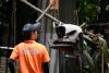 Taipei Zoo expands nighttime visits for 20th anniversary event