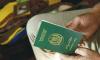 Pakistan’s passport retains 100th place in global ranking