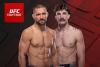 UFC Vegas 120 Walkout Songs: Entrance Music Used by Mateusz Gamrot, Quillan Salkilld, Diego Ferreira, and Others 