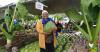 Agricultural planning vital for food security during El Niño