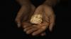 Major African gold producer tightens control over mining