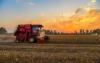 World : Global Food Prices Edge Lower In June As Grains, Sugar Decline