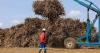 Billionaire maps next chapter for southern Africa sugar giant
