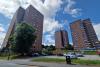 German cockroach invasion in Sheffield tower block leads to Environmental Health action
