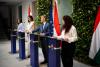 Hungary updates wind power and battery industry regulations