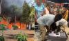 Tourists run for their lives as wildfire sweeps through French campsite while more fights break out over cheap Lidl aircons with Europe bracing for raging new heatwave